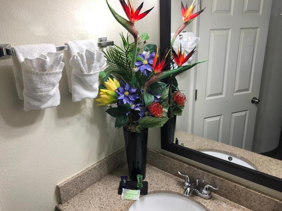 Econo Lodge Choice Hotels I 95 Savannah Gateway 24 Hour Fitness Center On Site Guest Laundry On Site Perkins Restaurant Georgetown Kültér fotó